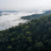 An aerial view over the Central Cardamoms National Park, one of several protected areas that constitute the Cardamom Mountains, an evergreen forest situated on the Thai-Cambodia border. In November 2023, the Cambodian government approved the construction of two new hydropower dams in the protected forest. Credit: Andy Ball/Mongabay.