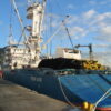 The Txori Argi fishing trawler in port.