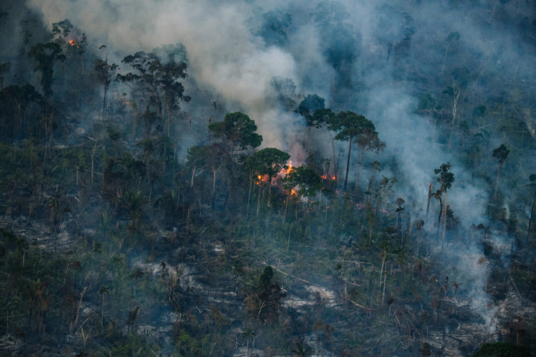 Fire near the Manicoré River in Amazonas state in August 2022. Photo © Christian Braga / Greenpeace