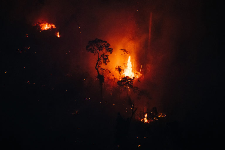 Fire near the Manicoré River in Amazonas state in August 2022. Photo © Christian Braga / Greenpeace
