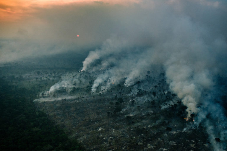 Fire near the Manicoré River in Amazonas state in August 2022. Photo © Christian Braga / Greenpeace