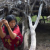 Guireja, an Ayoreo woman, sits outside her house that she was forced to abandon as a result of logging, Paraguay. Image by Survival.