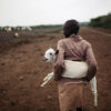 A young girl carrying one of her goats as they travel home at the end of the day.