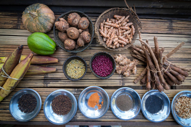 Indigenous ingredients and produce variety from traditional food production systems in Meghalaya. Image by NESFAS.