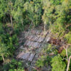 Timber extraction in Sumatra. Photo credit: Rhett A. Butler