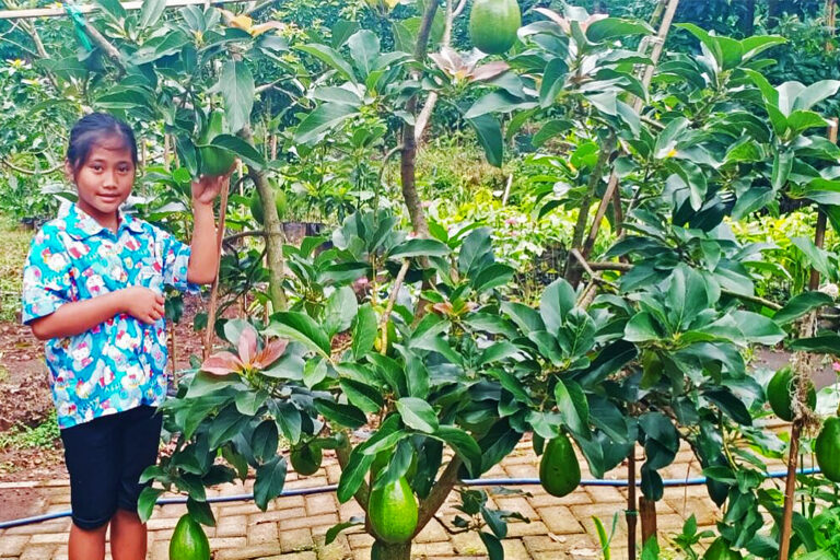 A girl with avocados