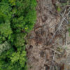 Deforestation in Kapuas Hulu, Indonesian Borneo. Photo by Rhett A. Butler.