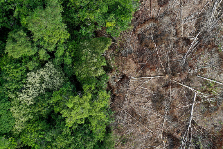 Deforestation in Borneo. Photo credit: Rhett A. Butler / mongabay