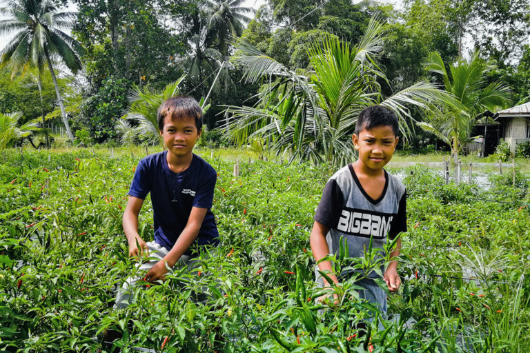 Two young boys farming.