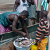 People select fish on Rusinga Island, Lake Victoria, Kenya.