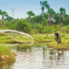 A man fishing in Brazil