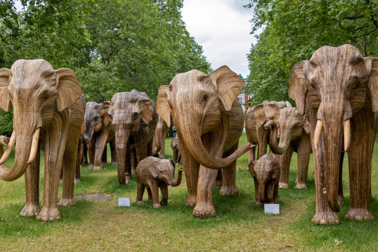 A herd of lantana elephants in London, U.K.