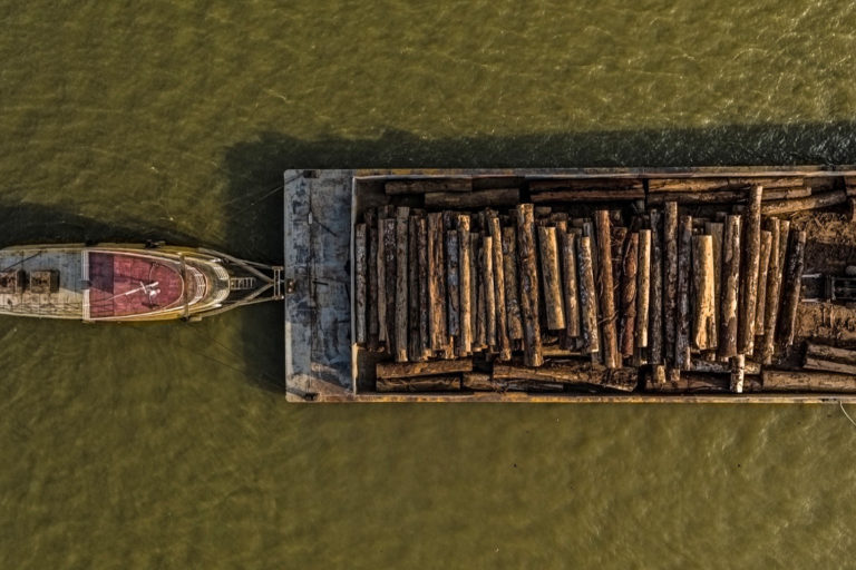 Logging operation in the Amazon.