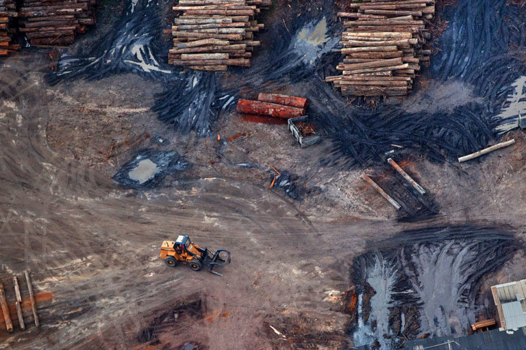 Timber is sorted for transport in Uruará in the state of Pará.