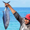 A Maluku fisherman shows his catch of skipjack tuna.