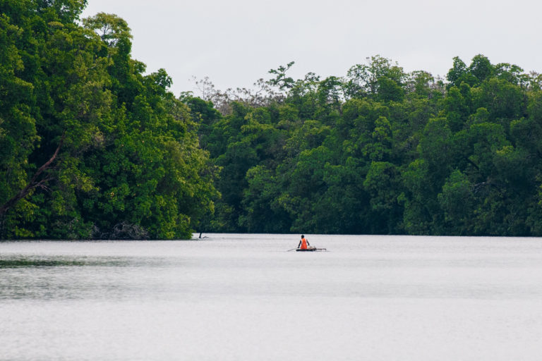 A man canoing among the mangroves