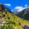 Mount Kenya.