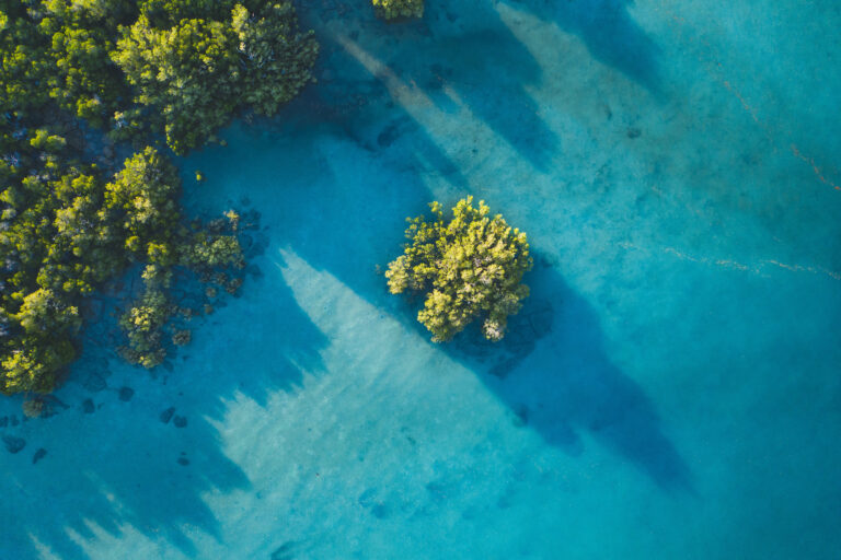 Sunrise over mangroves in Australia.