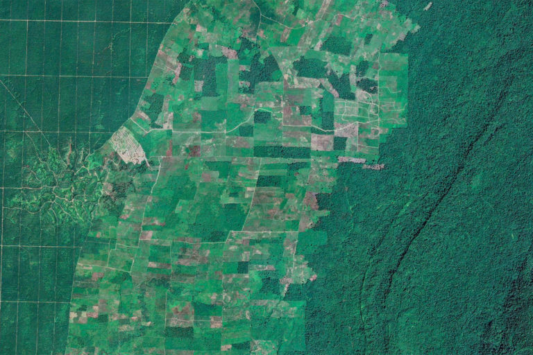 Satellite image of oil palm, agriculture, and forest in East Kalimantan, Indonesia. Image credit: Maxar Technologies.