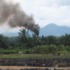 Oil palm nursery and processing facility, Indonesia.