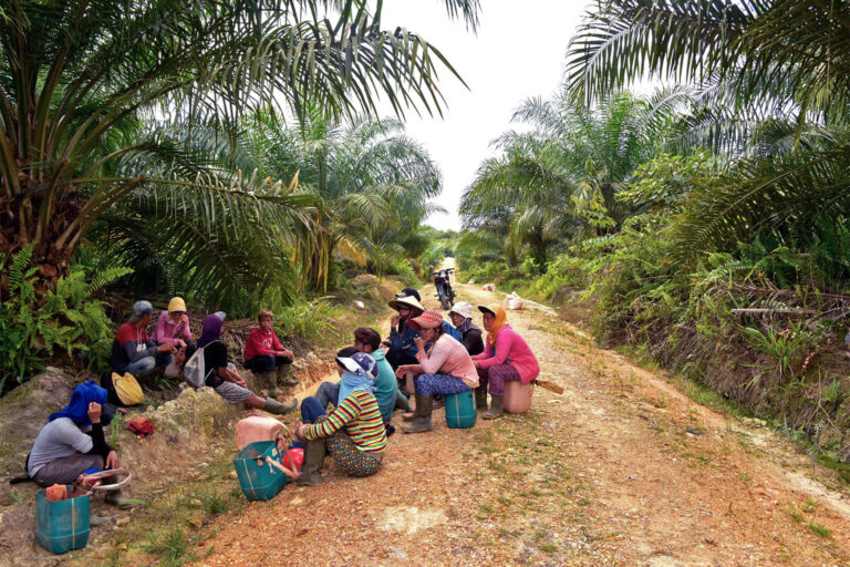 Oil palm plantation workers wait for the truck to take them to work.