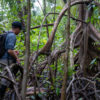 Franco Ivan Macedo Tafur, a member of the Amazon mangrove research team