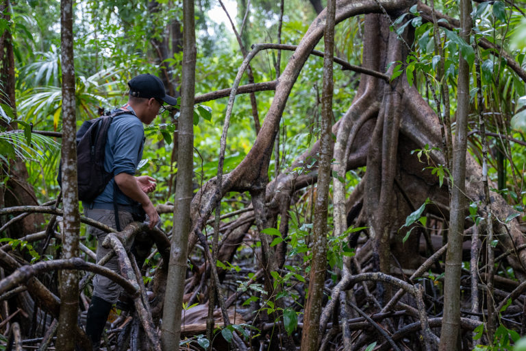 Franco Ivan Macedo Tafur, a member of the Amazon mangrove research team