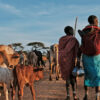 Samburu pastoralists walking with their herd.