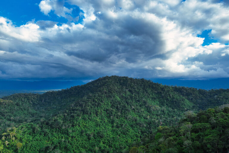 The Amazon rainforest in Peru. Photo credit: Rhett A. Butler