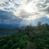 Dusk in the Amazon. Photo credit: Rhett A. Butler / Mongabay