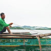 A fisher uses his fishing net along the mangrove waters.
