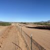 sonora train