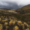 paramos
