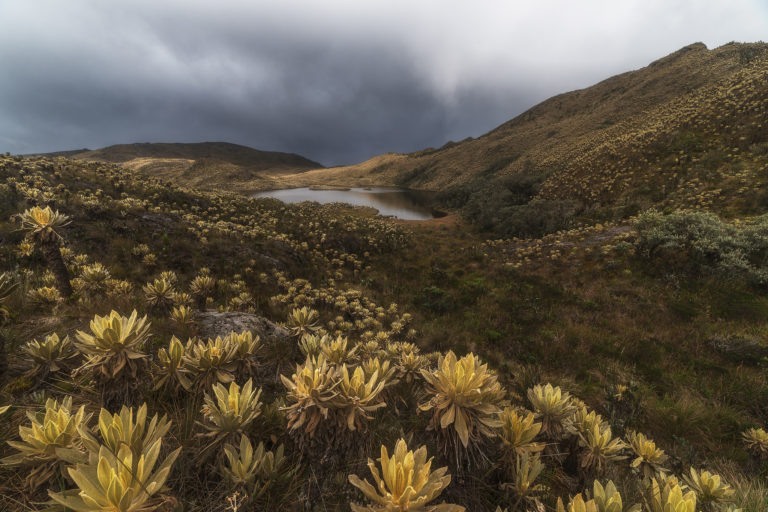 paramos