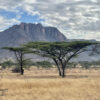 The northern Kenya landscape is dry most of the year, making it unsuitable for growing crops. Image courtesy of Peyton Fleming.