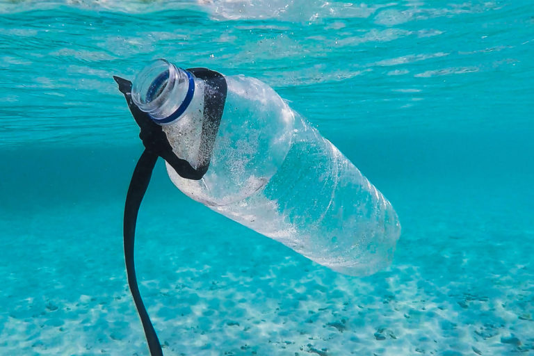 A single-use plastic water bottle found by a snorkeller in The Gili Islands, Indonesia.