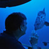 A scientist waves to a fish in the trapping zone.