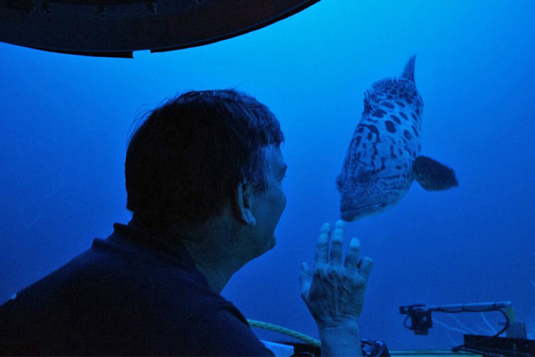 A scientist waves to a fish in the trapping zone.