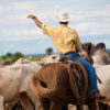 Ranchers who received customized training made more sustainable changes to their properties, including pasture restoration, that led to both economic and environmental benefits, researchers say.