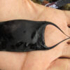A washed-up egg case of a ray.