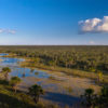 According to the Forest Code, rural properties located in the Cerrado biome of Mato Grosso state must maintain 35% of their native vegetation.