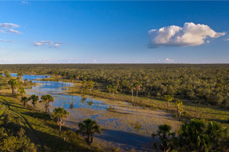 According to the Forest Code, rural properties located in the Cerrado biome of Mato Grosso state must maintain 35% of their native vegetation.