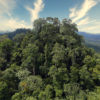 Deramakot forest reserve is a FSC-certified logging concession in Sabah, Malaysia. Photo by Rhett A. Butler