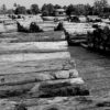Seized teak logs in Myanmar, 2020. Image courtesy of Environmental Investigation Agency.