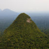 Sierra del Divisor. Photo credit: the Field Museum