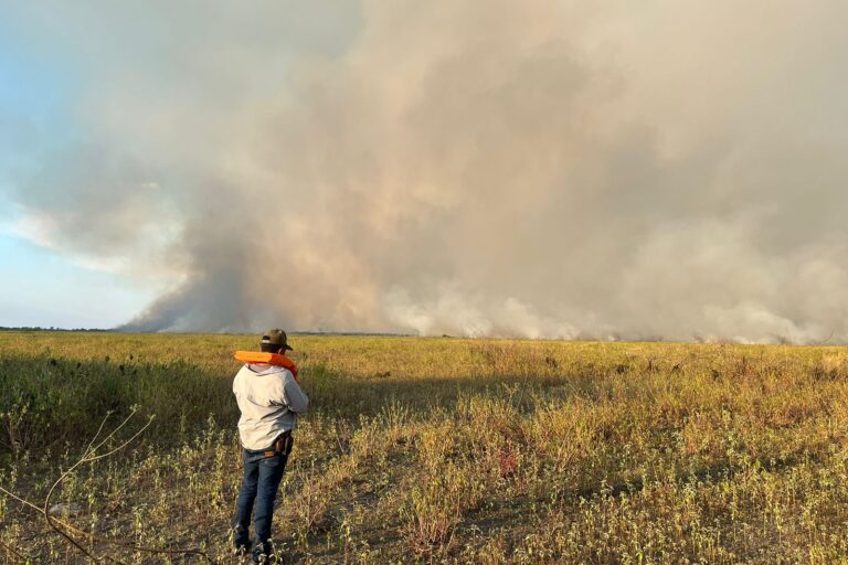 pantanal fire