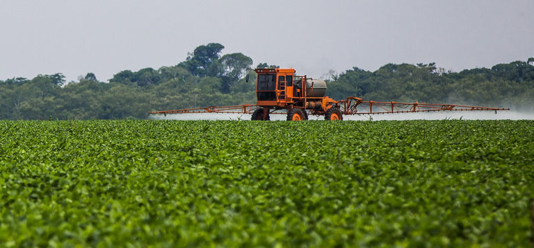 The successful use of microorganisms in the production of soybeans is driving R&D for the development of bioproducts focused on different crops. Image by Bruno Kelly/Greenpeace.