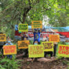 The "Stop the Chop Protest" in Miri, Sarawak against Malaysian forestry company Samling in October 2020. Photo credit: The Borneo Project