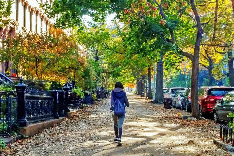 Trees by the side of streets in Brooklyn, U.S.