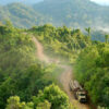 Trucks loaded with freshly cut logs transported for further processing, Gunung Lumut, East Kalimantan, Indonesia.